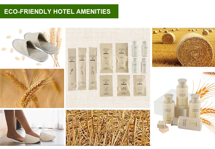 Hotel Disposable Toiletries Amenities Hotel Amenity Kit Hotel Supplies Toothbrush Kit Toothpaste Amenity Set